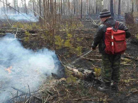 В Боханском районе вновь горел лес