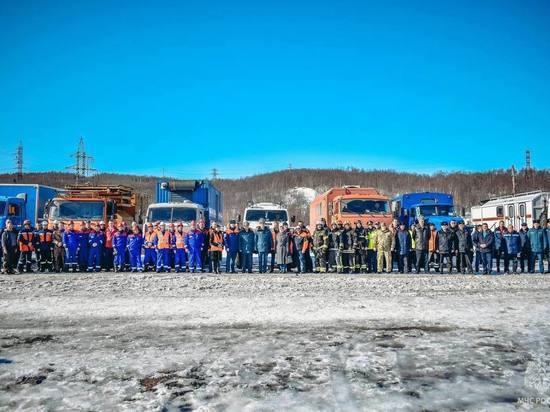 Пал сухой травы: МЧС Мурманска призвали северян к ответственности