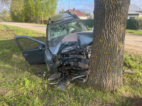 В Спасском районе 51-летний водитель Renault погиб после наезда на дерево