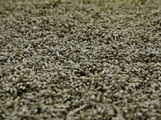 Глава МИД Турции Чавушоглу заявил об неисполнении требований России по зерновой сделке