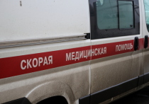 В городе Спасск-Дальнем Приморского края в результате падения бревна погиб девятилетний мальчик