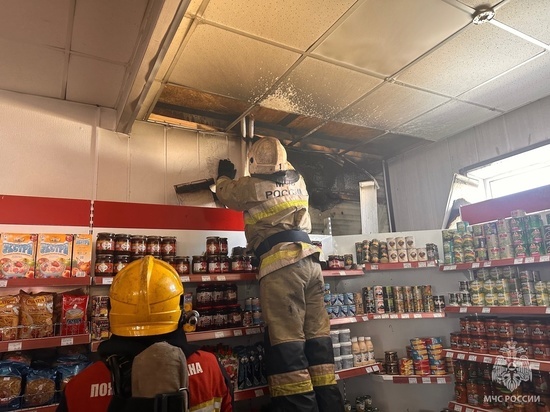 На борьбу с пламенем отправились 15 человек