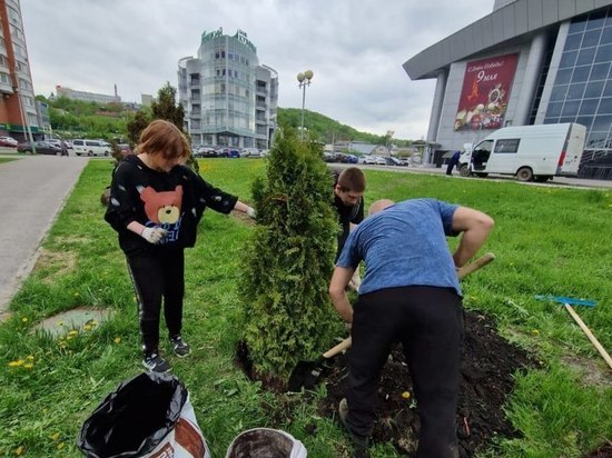 В Пензе продолжается активное озеленение города