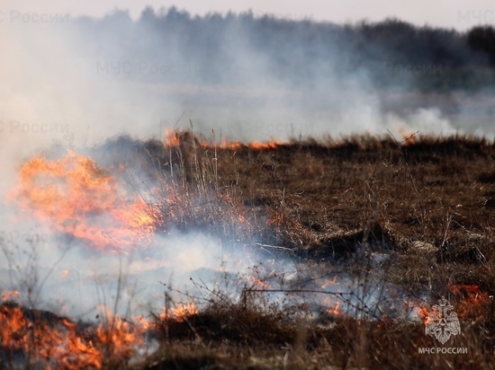 Весной в Чувашии случилось 93 природных пожара
