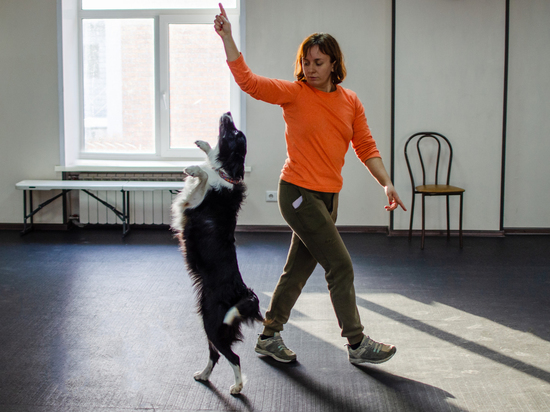 В Новосибирске дрессировщица Юлия Немова учит собак танцевать