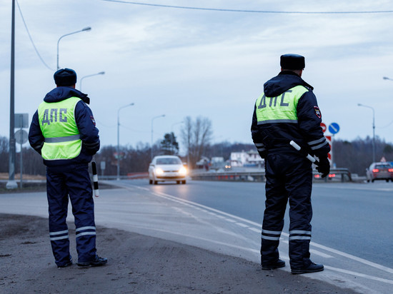 17 грузовых автомобилей проверила дорожная полиция в Псковской области за неделю