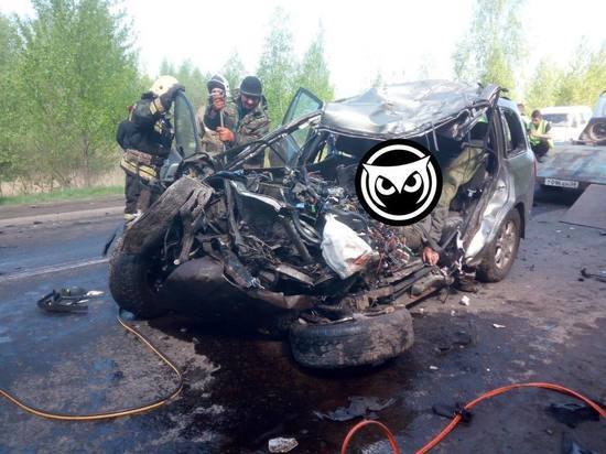 Водитель скончался в результате жесткого ДТП в Каменском районе Пензенской области