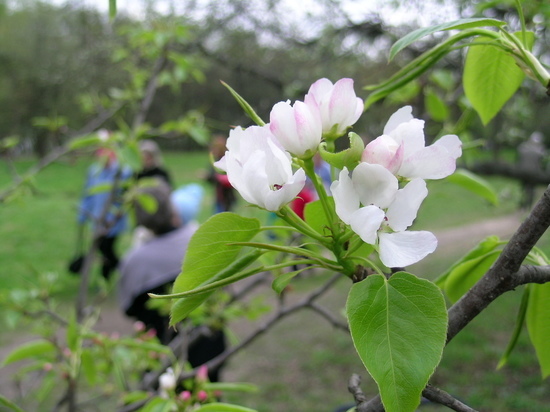 Жители Подмосковья могут стать обладателями премии Росприроднадзора «Экология — дело каждого»