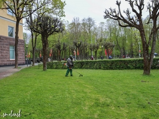 В Смоленске уже начались сезонные покосы травы