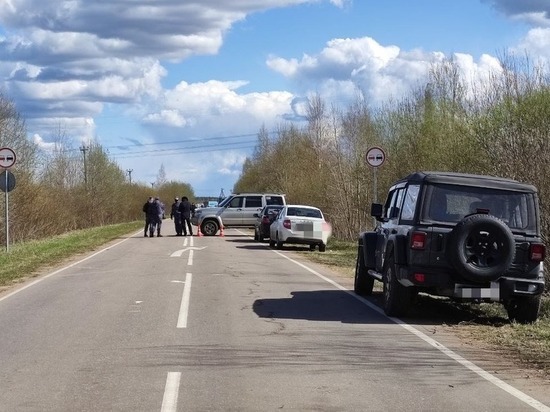 На трех опорах ЛЭП в Ковшово нашли шесть взрывных устройств