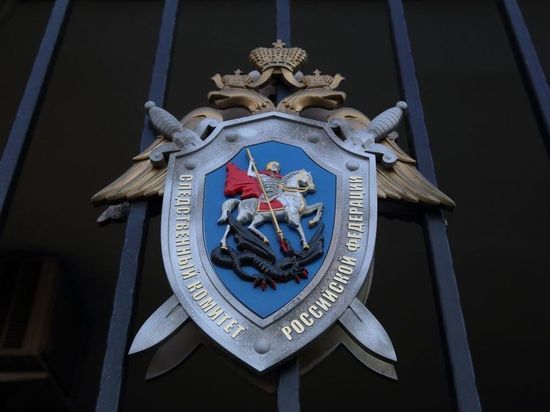 СКР возбудил дело об атаке беспилотников на Кремль