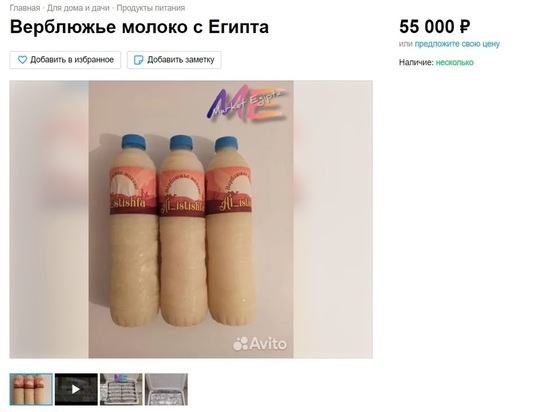 Волгоградцам за 55 000 рублей предлагают молоко и мочу египетских верблюдов