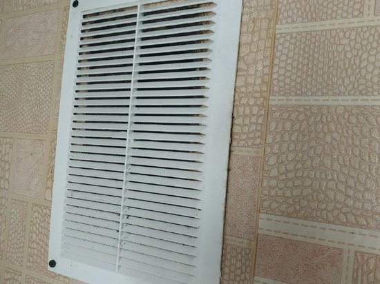 Хабаровчанка нарочно мешала чистить общедомовую вентиляцию