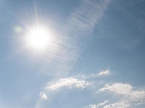 Как спастись от солнцепека и не получить тепловой удар: советы Роспотребнадзора
