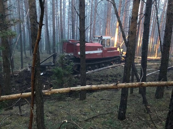 В Зиминском районе потушили лесной пожар площадью 1,5 га
