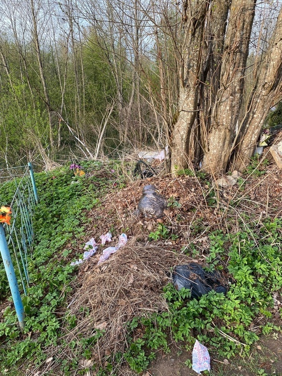 В Тверской области могилы на кладбище заваливают мусором