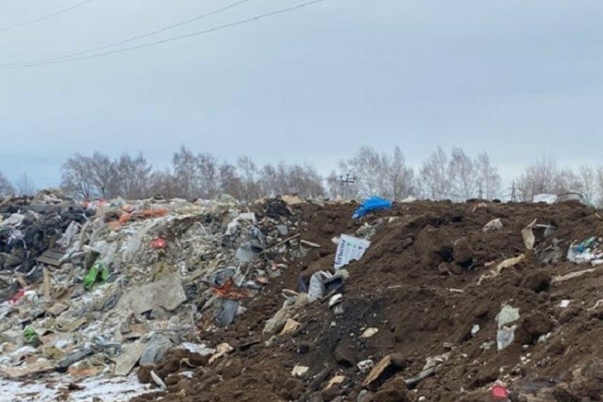 мусорная свалка в москве