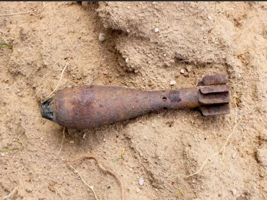 В Тербунском районе в огороде обнаружили мины и гранаты