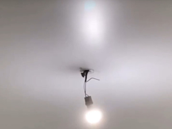 В ЖК в Красногорске заметили мышей, бегающих по потолку