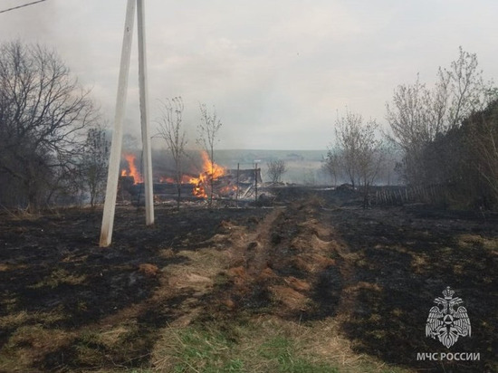 Два человека погибли во время пожара в деревне Старая Бирса