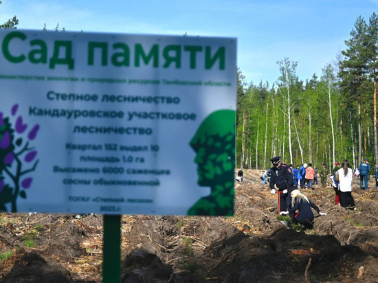 В преддверии Дня Победы в Тамбовской области стартовала патриотическая акция «Сад Памяти»