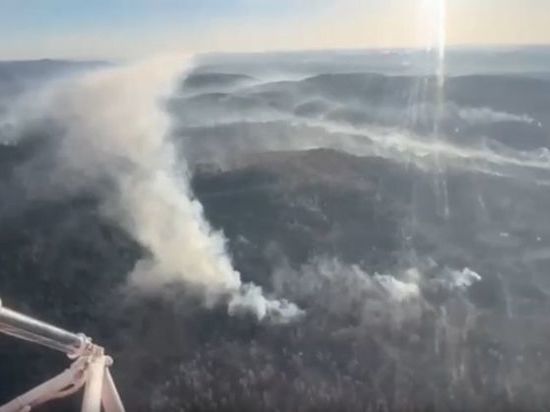 Фарит Гумеров рассказал о тушении лесных пожаров в Башкирии