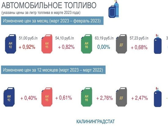 Калининградстат рассказал, на сколько подорожало топливо в регионе