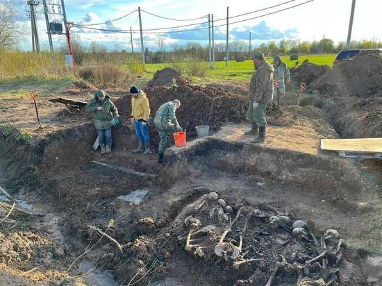 В Гатчине обнаружили место захоронения 12 погибших во время ВОВ