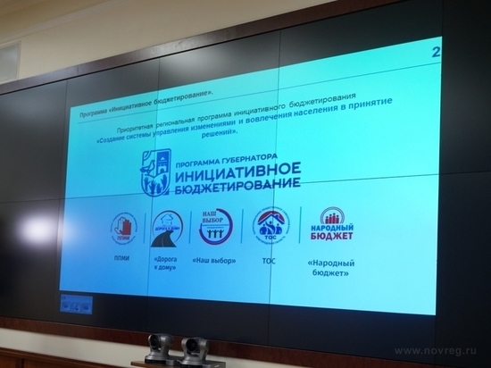 Новгородским ТОС выделили более 22 млн рублей: какие проекты получили господдержку