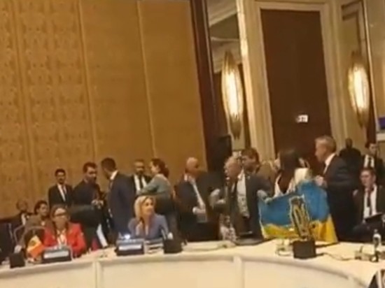Украина пыталась сорвать выступление российской делегации на саммите ПАЧЭС