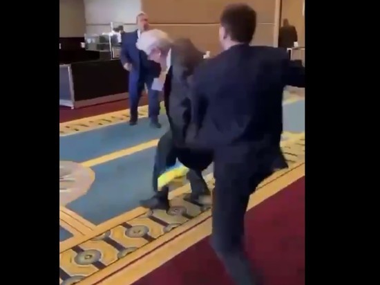 Появилось видео драки российской и украинской делегаций на саммите ПАЧЭС