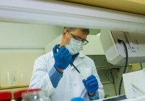 Ученые Томского политехнического университета разработали препарат, который может уничтожать до 90% раковых клеток