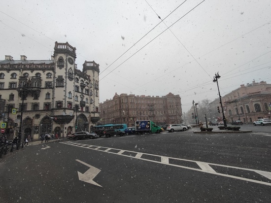 В весенний Петербург пришел арктический воздух: 5 мая подует северный ветер и пойдет снег