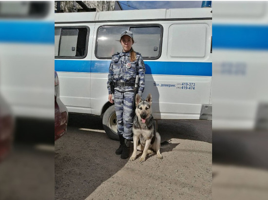 Служебная собака помогла найти грабителя супермаркета в Ижевске