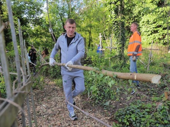 Всесвятское кладбище в Краснодаре очистили от упавших деревьев