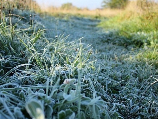 Во Владимирской области ввели оранжевый уровень опасности из-за заморозков