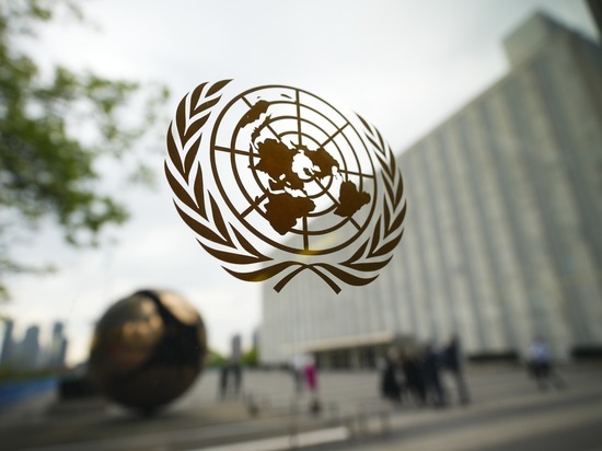 Представитель генсека ООН сообщил, что после консультаций состоится саммит участников зерновой сделки