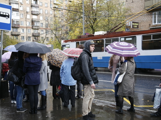 В Чехове рекордными темпами сокращается население