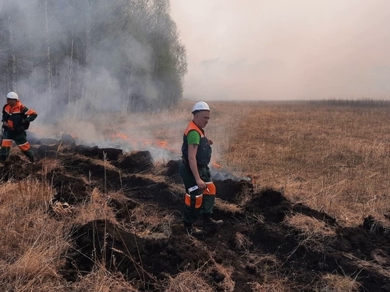 Спасатели ЯНАО поедут в Тюменскую область помогать бороться с природными пожарами