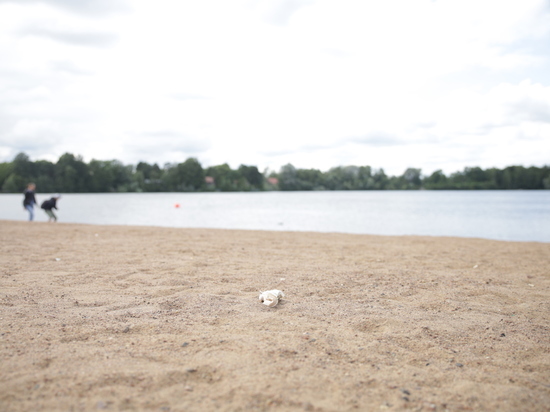 Пляж на озере Меглино в Пестовском районе благоустроят для комфортного отдыха
