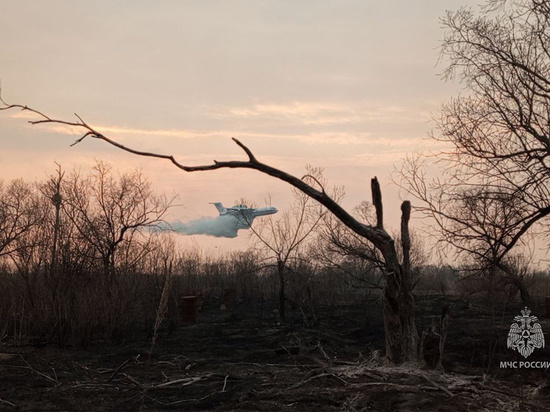 Почти 220 тонн воды понадобилось, чтобы потушить пожар в Хабаровском крае