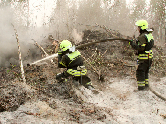 В Амурской области горит 12 тысяч га леса