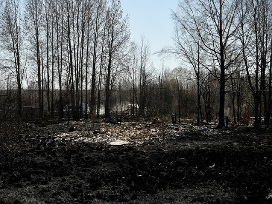 Природные пожары в Свердловской области тушат более тысячи человек