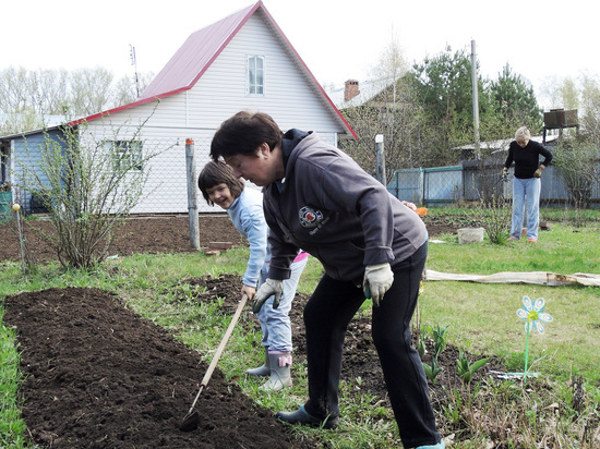 Врачи рассказали как правильно вести садово-огородные работы