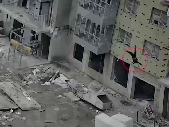 Три года семья погибшего на стройке в «Тихих зорях» монтажника добивалась выплаты компенсации