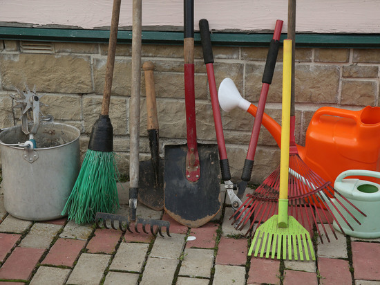 Жителям Подмосковья рассказали как организовать работы в огороде без вреда для здоровья