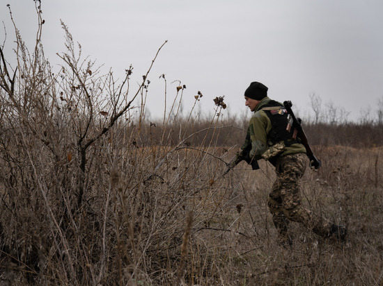 Рогов: наступление ВСУ в Запорожской области неизбежно