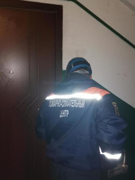 Пензенские спасатели помогли воссоединиться матери и ребёнку
