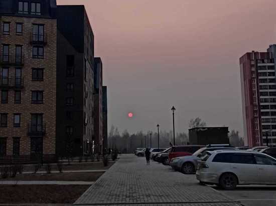 Жители Новосибирска поделились фотографиями кровавого солнца 6 мая