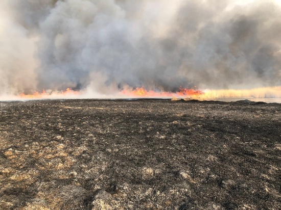 В  Тес-Хемском районе Тувы произошел степной пожар